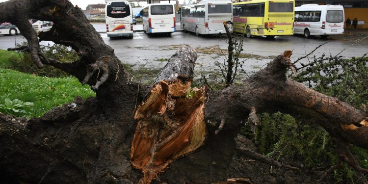 SREĆOM, BEZ STRADALIH Grmljavinsko nevrijeme poharalo Bjelovar, orkanski vjetar rušio stabla | NACIONAL.HR