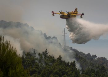 Buknuo novi požar u Istri, situacija brzo stavljena pod nadzor: ‘Objekti nisu ugroženi’