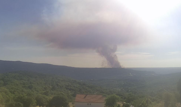 Buknuo ogroman požar u Istri, prema strašnoj stihiji lete kanaderi: ‘Ufff, nastao i pirokumulus’