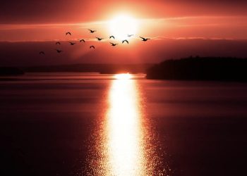 Četrdest godina gledala budućnost svijeta pa rekla: ‘Zemlju će udariti dvije kazne, ovo je prva’