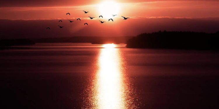 Četrdest godina gledala budućnost svijeta pa rekla: ‘Zemlju će udariti dvije kazne, ovo je prva’