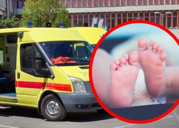 Dalmatinac porodio suprugu pored kuće, beba nije mogla čekati hitnu