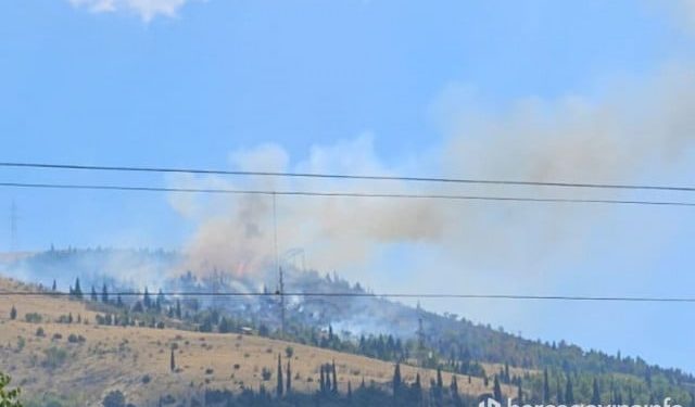 FOTO Opet gori na Fortici, tri vozila vatrogasaca su na terenu