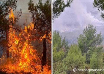 FOTO U požaru kod Čitluka stradao maslinik