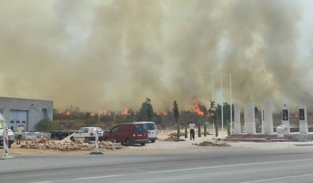 FOTO Veliki požar iznenada buknuo u Čulama, došao do kuća i ceste