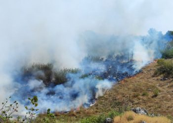 FOTO/VIDEO Novi požar u Hercegovini, ugroženi stambeni objekti