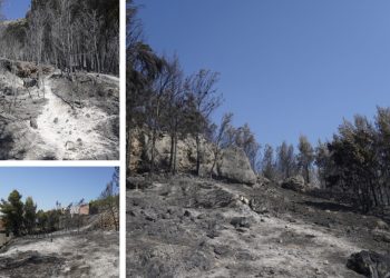 GOLA ZEMLJA, PRAH I PEPEO Obišli smo Rupotine, vatra je progutala sve što joj se našlo na putu