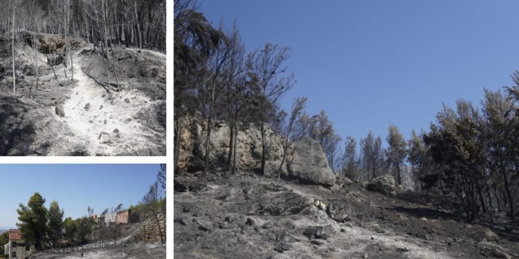 GOLA ZEMLJA, PRAH I PEPEO Obišli smo Rupotine, vatra je progutala sve što joj se našlo na putu