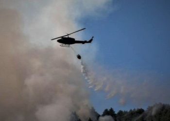 GORI NACIONALNI PARK U BIH Traži se pomoć Hrvatske, Srbije i Crne Gore