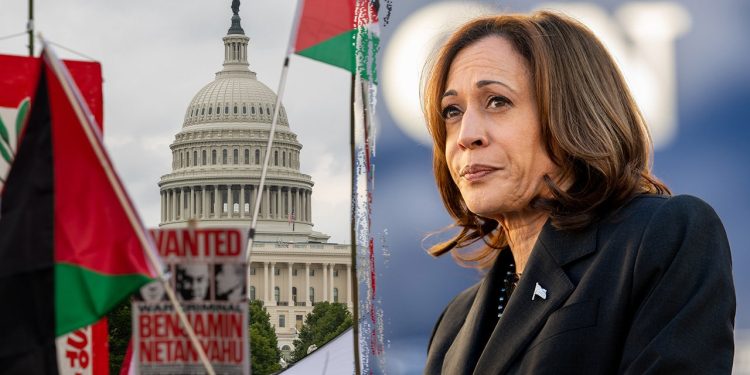 Glasači Harris brane predsjedničku kandidatkinju Demokratske stranke o sukobu Izraela i Hamasa: ‘Ona je udana za Židova’