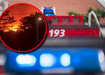 Gorilo u Zadru, požar lokaliziran: Jedna od devet intervencija s kojom su se sinoć borili zadarski vatrogasci