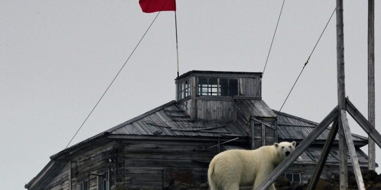 ‘Građani SSSR-a’ poslani u Sibir — RT Rusija i bivši Sovjetski Savez