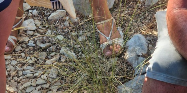 HGSS spašavao turiste na Sv. Iliji. Bili su bez vode, žena nosila sandale