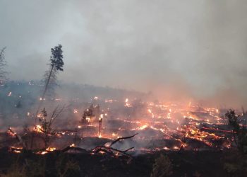 I dalje zatvorena cesta između Žrnovnice i Srinjina. Policija apelira: “Ne dolazite samoinicijativno na požarište”