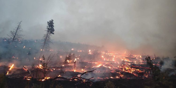 I dalje zatvorena cesta između Žrnovnice i Srinjina. Policija apelira: “Ne dolazite samoinicijativno na požarište”