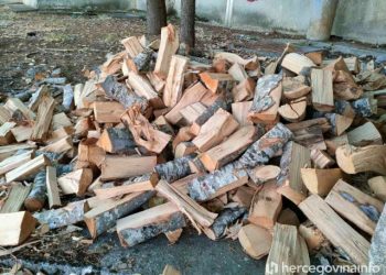 IDEALNO JE VRIJEME ZA NABAVU OGRJEVA Drvo i pelet jeftiniji nego prošlih godina, građani se već pripremaju za zimu