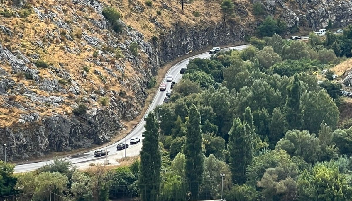 Image1