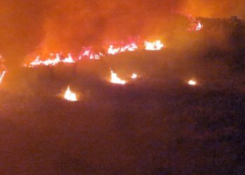 Informacije s prve vatrene crte: “Žerava s fronte leti desetke metara i stvara nove požare”