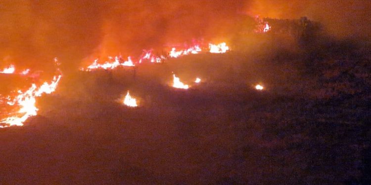 Informacije s prve vatrene crte: “Žerava s fronte leti desetke metara i stvara nove požare”