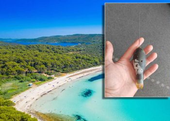 Ispalo je da je vrlo dragocjen, nosi vrijedne podatke i traže ga Talijani!