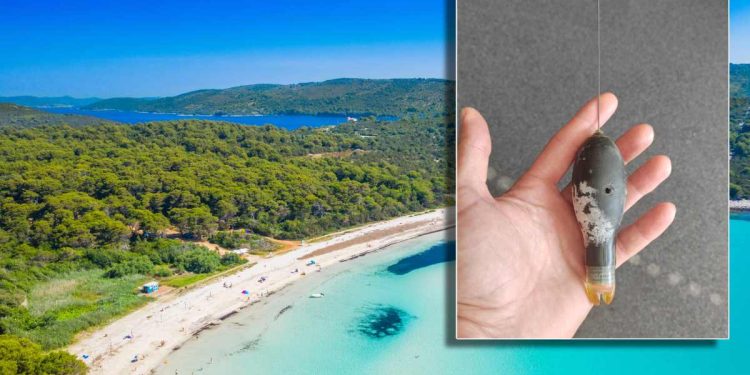 Ispalo je da je vrlo dragocjen, nosi vrijedne podatke i traže ga Talijani!