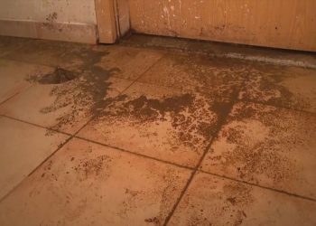 Iva ima rak pluća, a iz susjedova stana godinama cure fekalije: ‘I po zidovima su’