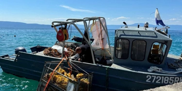 Iz krčkog podmorja izvađena 3 kubična metra plastike