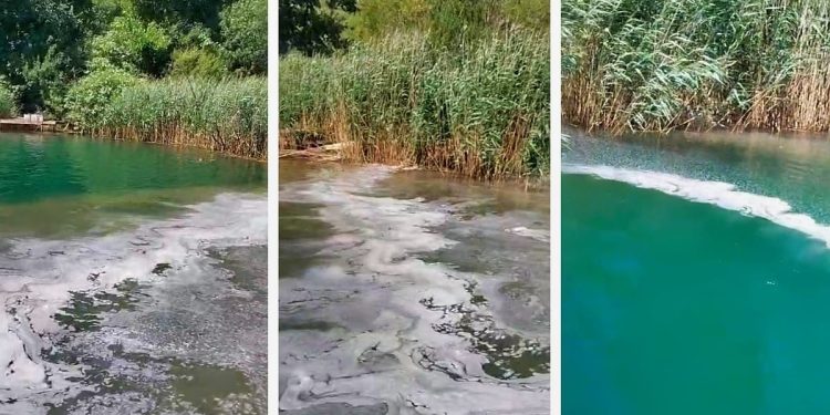 Kako nije sram onoga tko ovo radi?