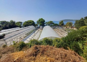 Kreće masovno uklanjanje ilegalnih objekata po Marjanu!