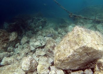 Kupače u Kostreni izbezumila čudna riba prvi put viđena u Jadranu: ‘Ako je vidite, odmah nam javite’