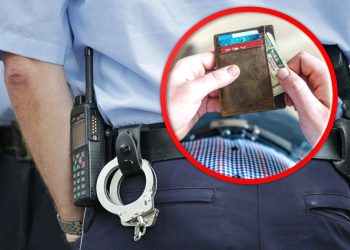 Lopov krao novac, torbe i ruksake turistima. Uhvaćen je