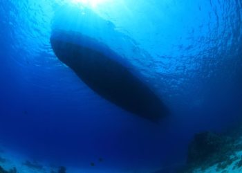 MORE I BUKA Dok još nismo stigli do točke neizdrživosti, poslušajmo struku!
