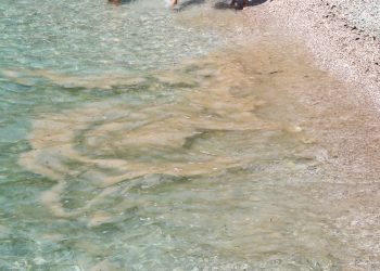 More u Istri ovih dana izgleda uistinu jezivo: Turisti u šoku gledaju što se događa