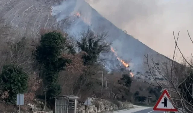 NEMOGUĆE GAŠENJE S TLA Vatrogasci se bore s vatrom na nepristupačnom terenu kod Bileće