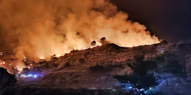 Načelnik Tučepa o vožnji kroz požar u zapaljenom autu: “Jurio sam autom kroz vatru putem koji nisam ni vidio. Filmski”