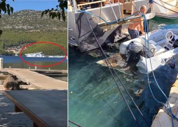 Napravio je štetu kakva se ne pamti!