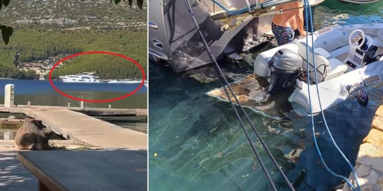 Napravio je štetu kakva se ne pamti!