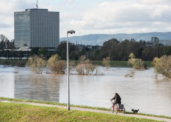 Nešto se dramatično događa sa rijekom Savom: Temperatura je naglo porasla