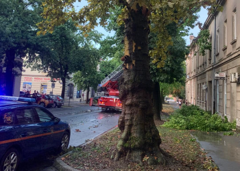 Nevrijeme napravilo kaos u Bjelovaru: Razoran vjetar čupao stabla, nastala je poplava