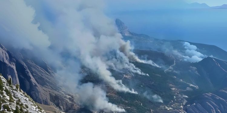 OČAJNI APEL BIVŠEG VATROGASCA Poslao načelniku Tučepa oštru poruku