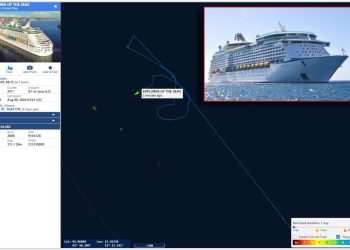 OSOBA PALA U MORE S KRUZERA KOD JABUKE