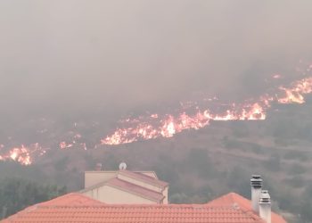 Objavila potresne snimke požara: ‘Spaljena zemlja, krikovi žene još odzvanjaju’