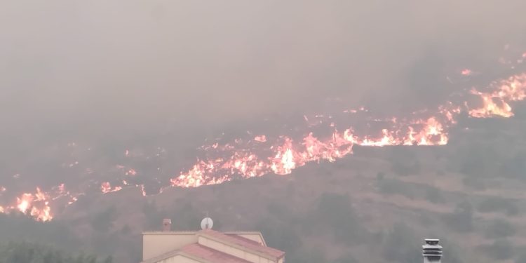 Objavila potresne snimke požara: ‘Spaljena zemlja, krikovi žene još odzvanjaju’