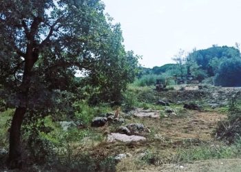 Obnova lokvi na porečkom području