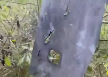 Oborene ukrajinske bespilotne letjelice pune NATO elektronike – Minsk — RT Rusija i bivši Sovjetski Savez