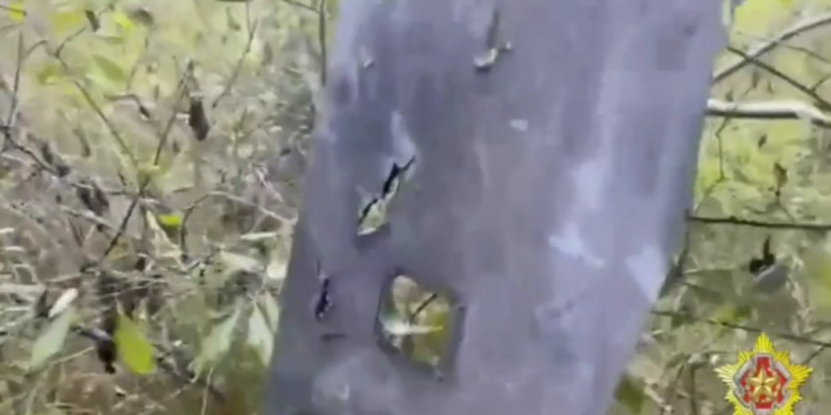 Oborene ukrajinske bespilotne letjelice pune NATO elektronike – Minsk — RT Rusija i bivši Sovjetski Savez