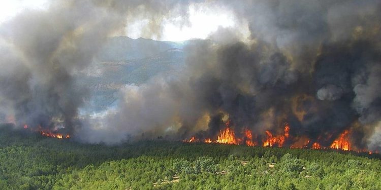 Ogromne požarne fronte u dvije dalmatinske županije: Ovo su najnovije informacije