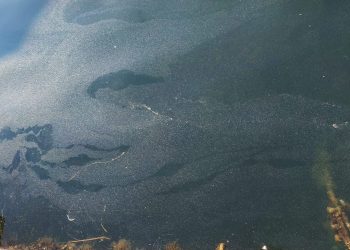 Otpadne vode u Jadranu – Situacija na terenu ne odgovara onome što je propisano