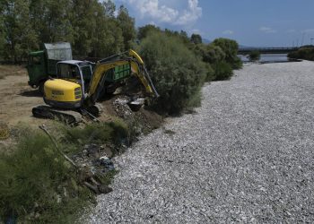 Ovo što bager skuplja je mrtva riba: Grčka proglasila izvanredno stanje
