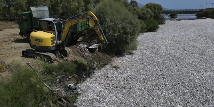 Ovo što bager skuplja je mrtva riba: Grčka proglasila izvanredno stanje